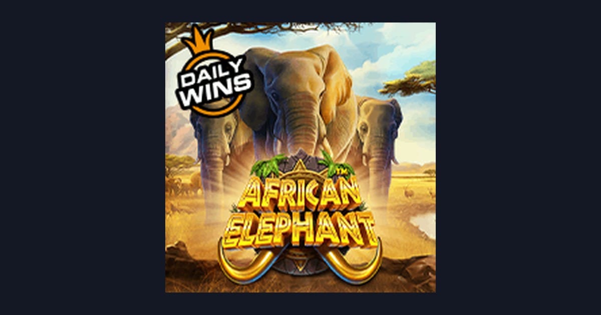 Eksplorasi Slot African Elephant: Fitur Seru dan Tingkat Volatilitas Menarik
